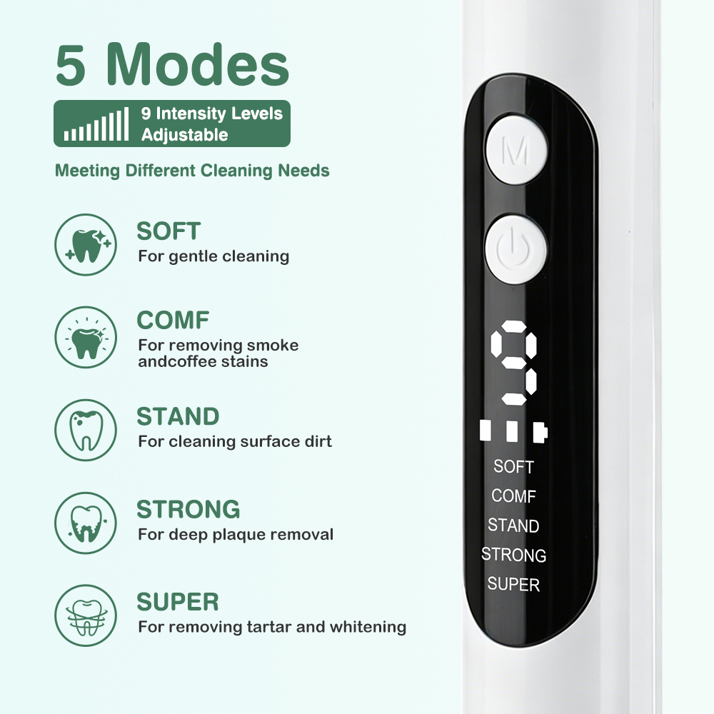 電動歯クリーナー超音波歯科スケーラー 5 LED ライト付き - Teeth Whitening Kit Professional のレビューと価格