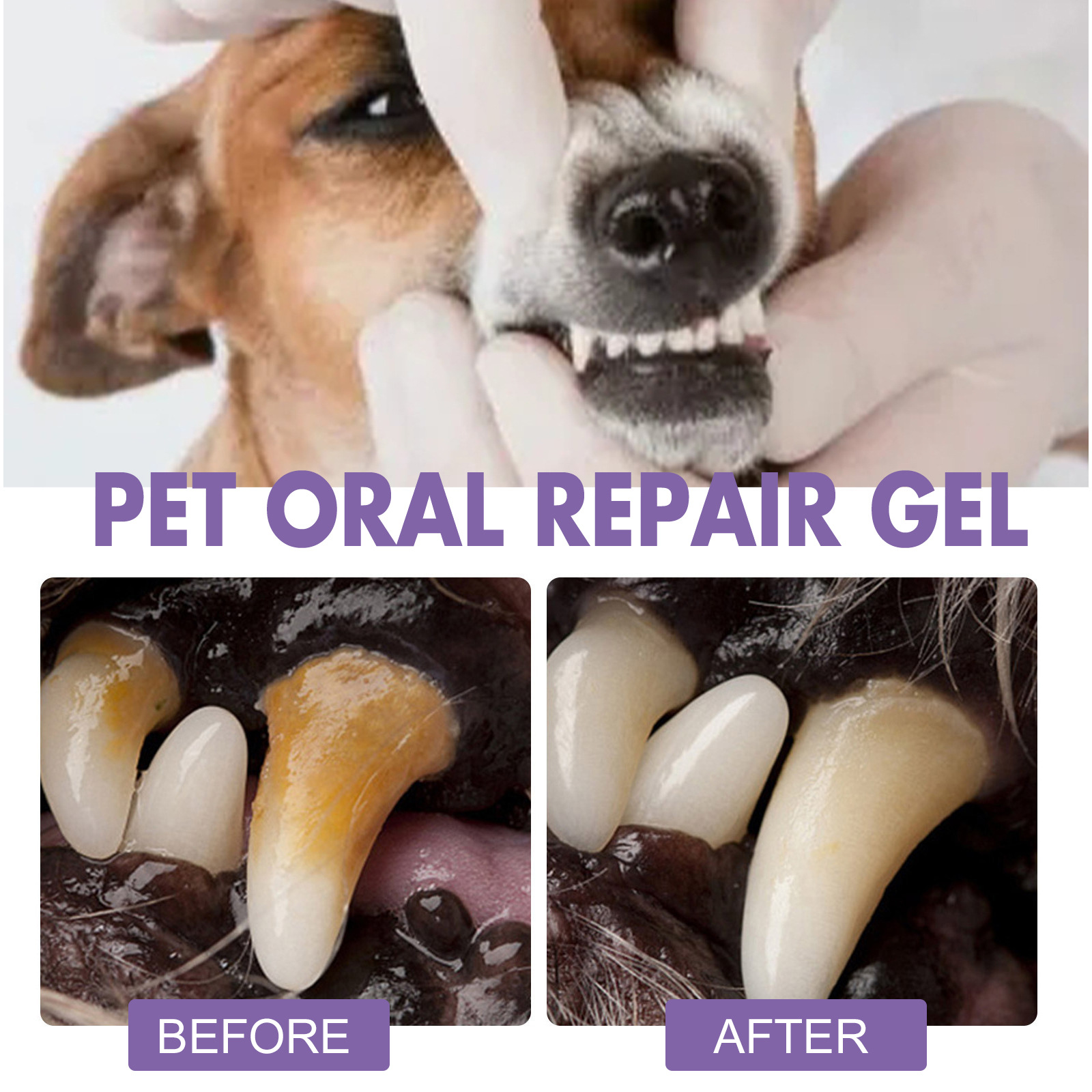 ペット口腔修復ジェル子犬歯石除去消臭剤白くする猫犬歯ステイン - Teeth Whitening Gum のレビューと価格