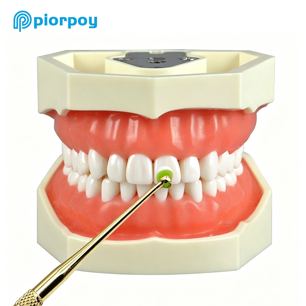 PIORPOY 1 個歯科用樹脂充填成形ツールクイックフォー - Teeth Whitening Quick のレビューと価格